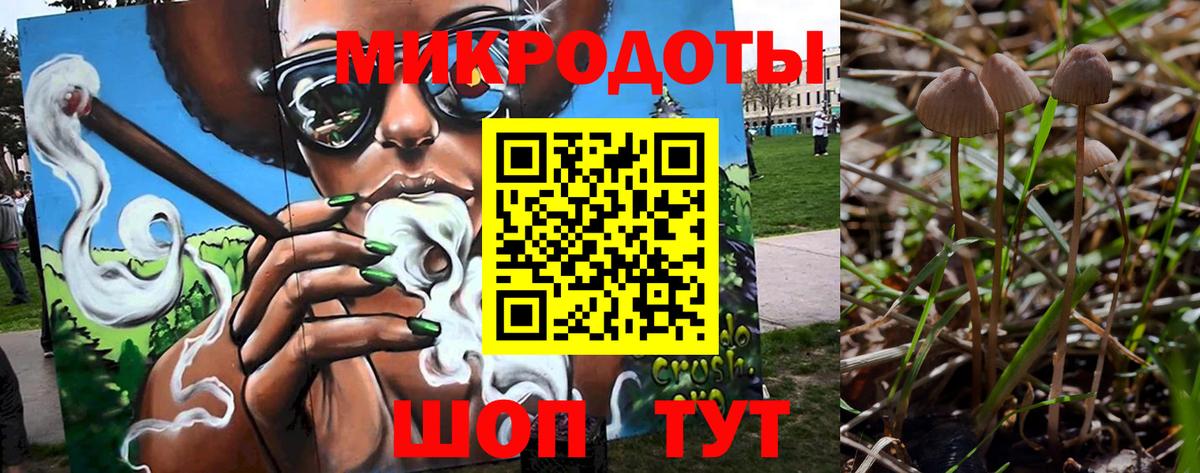 Галлюциногенные грибы MAGIC MUSHROOMS Родники