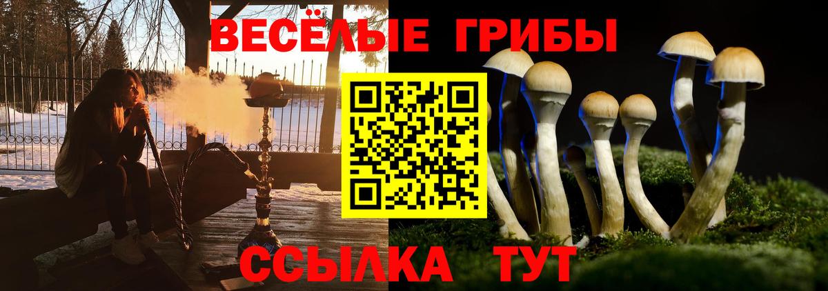 Псилоцибиновые грибы MAGIC MUSHROOMS  Вход с VPN  дарнет шоп  Родники 